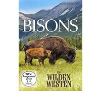Bisons Im Wilden Westen