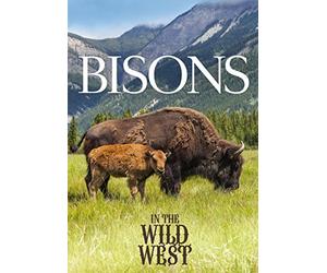 Bisons In The Wild West