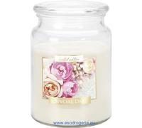 BISPOL Grande bougie parfumée en verre avec couvercle, 100 heures de combustion, poids 500g Parfum : Special Day