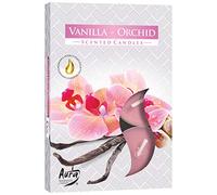 Bispol Lot de 6 bougies chauffe-plat parfumées - Vanille-Orchidée