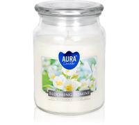 BISPOL Premium Line Jasmine bougie parfumée 500 g