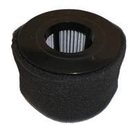 Bissell 54A2 PowerEdge Replacement Vacuum Filter-POWER EDGE VACUUM FILTER