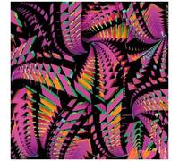 Bitchin Bajas - Bajascillators [Vinyl Lp]