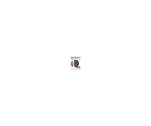 Bite Coin - US Quarter (w/DVD - Internal With Extra Piece) (D0045)by Tango - Trick