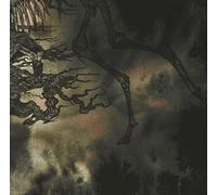 Bitterness Exhumed - A Place of Many Ghosts