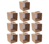 BIUDECO 10 pièces Lot de Papier Kraft Robustes Sacs Cadeau pour Fleurs Gâteaux et Bonsaïs Polyvalents pour Fêtes et Courses