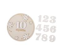 BIUDECO 1ensemble Disques Décoratifs Pour Cartes De Jalons Mensuels Accessoires Photo Pour Né Décoration De Chambre Avec Motif Fleur Cartoon