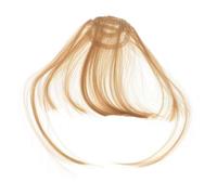 BIUDECO 2pièces Fausse Frange Pour Femme à Clipser Extensions De Cheveux Vaporeuses Postiche Naturel Et Élégant Pour Utilisation Quotidienne Et Cérémonies