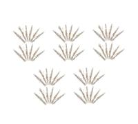 BIUDECO 5 Ensembles Écritures Juives pour La Décoration De Porte Bénédictions De Chambre Juive Plaques Sacrées Parchemins Ornement Parchemins De 12 pièces * 5