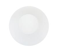 BIUDECO Abat-jour Verre Laitier Frosted pour Suspension Moderne Milieu Du Siècle Globe de Remplacement pour Ventilateur de Plafond et Appliques Murales Diffusion Douce et Installation