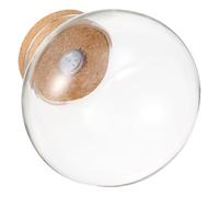 BIUDECO Bocal Hydroponique Verre avec Lumière Terrarium de Bureau Rond avec Couvercle Liège Vase Écologique pour Plantes Intérieur et Décoration de Table