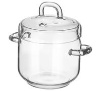 BIUDECO Marmite en Verre Résistante la Chaleur 350 Ml Moyenne Taille avec Couvercle Double Anse, Soupière Multifonction pour Cuisson Vapeur et Soupe Cuisine Domestique et Professionnelle