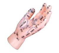 BIUDECO Modèle Main de Réflexologie Acupuncture PVC pour Apprentissage Tcm avec Points Acupuncture Clairs et Pédagogie Facile pour Étudiants