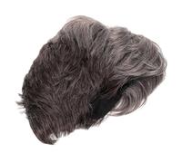 BIUDECO Perruque Homme Courte Dégradé Gris Style Naturel Cosplay et Fête Confortable pour Usage Quotidien