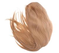 BIUDECO Perruque Synthétique à Lace Front pour Femme Longue et Lisse Perruque Dentelle pour Cosplay et Événements Aspect Naturel