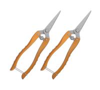 BIUDECO Sécateur de Jardin en Acier Inoxydable Lot de 2 Ciseaux à Fleurs Coupe-Fleurs pour Tiges Taille Branches et Fruits Poignée Antidérapante Ergonomique Outils de Jardinage à Main