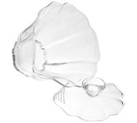 BIUDECO Tasse à Thé Verre Borosilicaté Haute Résistance Traditionnelle Chinoise avec Couvercle Transparent pour Thé Kung Fu Maison et Bureau