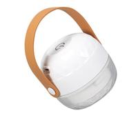 BIUDECO Tondeuse Électrique Rechargeable USB Mini Portable Blanc Détachant pour Vêtements et Pulls Rasoir à Charpie Compact pour Maison et Voyage Éliminateur de Peluches