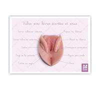 Bivea | Schéma anatomique Vulve avec lèvres écartées et anus | Format A5