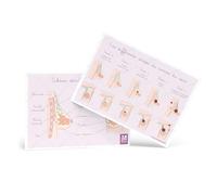 Bivea | Schéma différents stades du cancer du sein et schémas détaillés du sein | Format A5