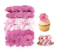 BIVYAX 30 Pièces de Fleurs de Cerisier Décoration Naturelles Séchées, Mélange de Variétés de Fleurs Pressées pour Décoration de Gâteaux et Artisanat DIY