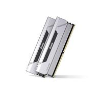 Biwin Black Opal HX100 DDR5 RGB U-DIMM 32GB (16GBx2) 6000MHz CL28 - Mémoire pour Intel XMP 3.0 AMD Expo - Argent