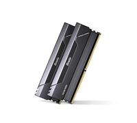 Biwin Black Opal HX100 Mémoire RAM DDR5 32 Go (2 x 16 Go) 6000 MHz CL30 pour Ordinateur Portable XMP 3.0 AMD Expo Compatible Intel XMP Noir