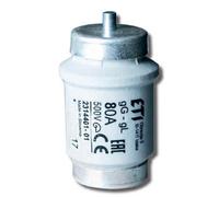 BIWTS DIV DZ GF INSERT DE FUSION RAPIDE 80A R1 1/4 500V 002314101