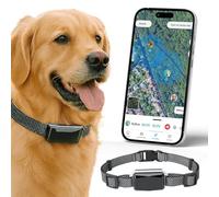 bixar Viva Traceur GPS 4G Chien - Anti-Fugue Collier Chien Étanche IP68 avec Traceur GPS Voiture 4G, Podomètre, Géofence, Alertes Fuite, Longue Durée Batterie, App iOS/Android