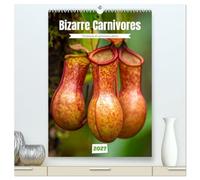 Bizarre Carnivores (High Quality Premium Wall Calendar 2027 DIN A2 portrait),CALVENDO 12 Month Wall Calendar: Where nature becomes strategy-quiet, patient, and completely effective.