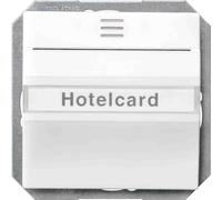 BJC Delta i-sys Blanc - Interrupteur pour carte éclairage iNSTABUS eIB Blanc Titan