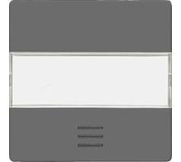 BJC Delta i-sys - Touche Visor + rotatif iNSTABUS eIB carbone métallisé