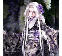 BJD Poupée 1/3 Ball Jointed Poupée Filles japonaises BJD Poupées faites à la main Jouets à faire soi-même avec ensemble complet Robes Chaussures Perruque Images Collection cadeau pour 15 ans et plus