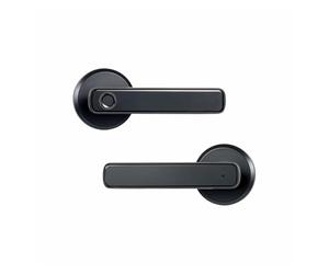 BJdfgE Serrure intelligente de porte intérieure, serrure à poignée empreintes digitales, anti-effraction, d'entrée, électronique(Black)