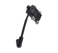 BJHGWANGM Bobine d'allumage 291337001 adaptée for Ryobi RY254BC | Bobine d'allumage 291337001 avec bougie d'allumage adaptée à la chaîne Ryobi RY251PH RY253SS 25cc 25,4cc
