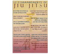 BJJ Belt System Wall Art Brazilian Jiu Jitsu Rankings Educational Poster for Gym Training Room(Framed,08x12inch(20x30cm))