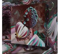 Fossora/Coffret Collector avec 2 Vinyles M45t Cristal/5 Arrangements Inédits/Inclus Poster et Goodies