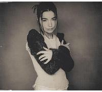 Björk - Human Behaviour