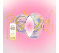 Björk – Lionsong (Kareokjeijd Version par Mica Levi) – Vinyle 12" Single – Import