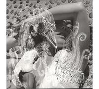 Bjoerk - Vespertine [Import]
