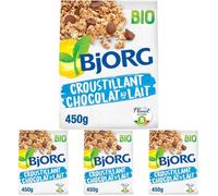 BJORG - Croustillant Chocolat au Lait Bio - 450 g (Lot de 4)