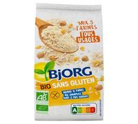 BJORG - Mix 3 Farines Tous Usages - Farine Sans Gluten Bio - Farine de Riz Complet, Pois Chiche et Maïs - 2x 500 g