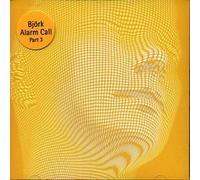 BJORK - Alarm Call Part 3/3 Remix