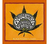 Bjork Brant & the Low Desert Punk Band - Black Power Flower