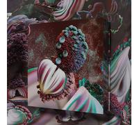 BJORK - FOSSORA 2 VINYL EP NEUF
