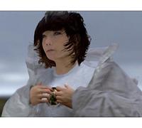 Bjork - Joga
