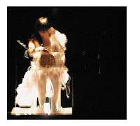 Bjork - Vespertine Live [Import]