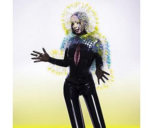 Bjork - Vulnicura [Import]