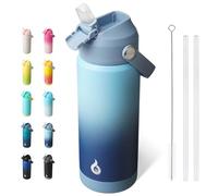 BJPKPK 0.53L Acier Inoxydable Bouteille Isotherme avec Poignée et Paille Couvercle Anti-fuite avec Poignée Portable-Sans BPA-étanche Gourde Isotherme,Ciel