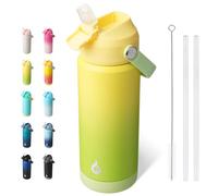 BJPKPK Acier Inoxydable Bouteille 0.53L Isotherme avec Poignée et Paille Couvercle Anti-fuite avec Poignée Portable-Sans BPA-étanche Gourde Isotherme,Vert Frais